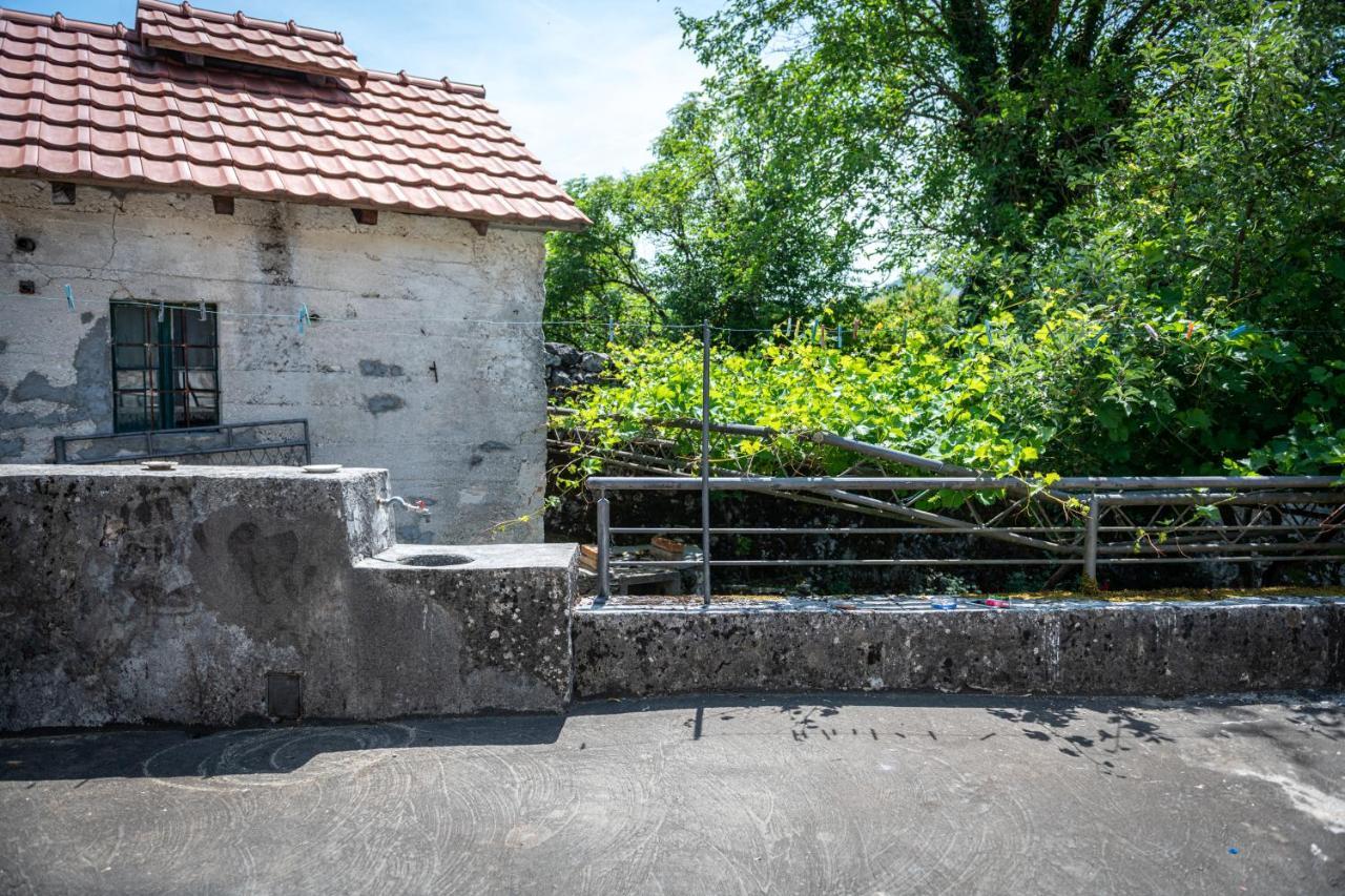 Guest House Gornji Ceklin Cetinje Ngoại thất bức ảnh