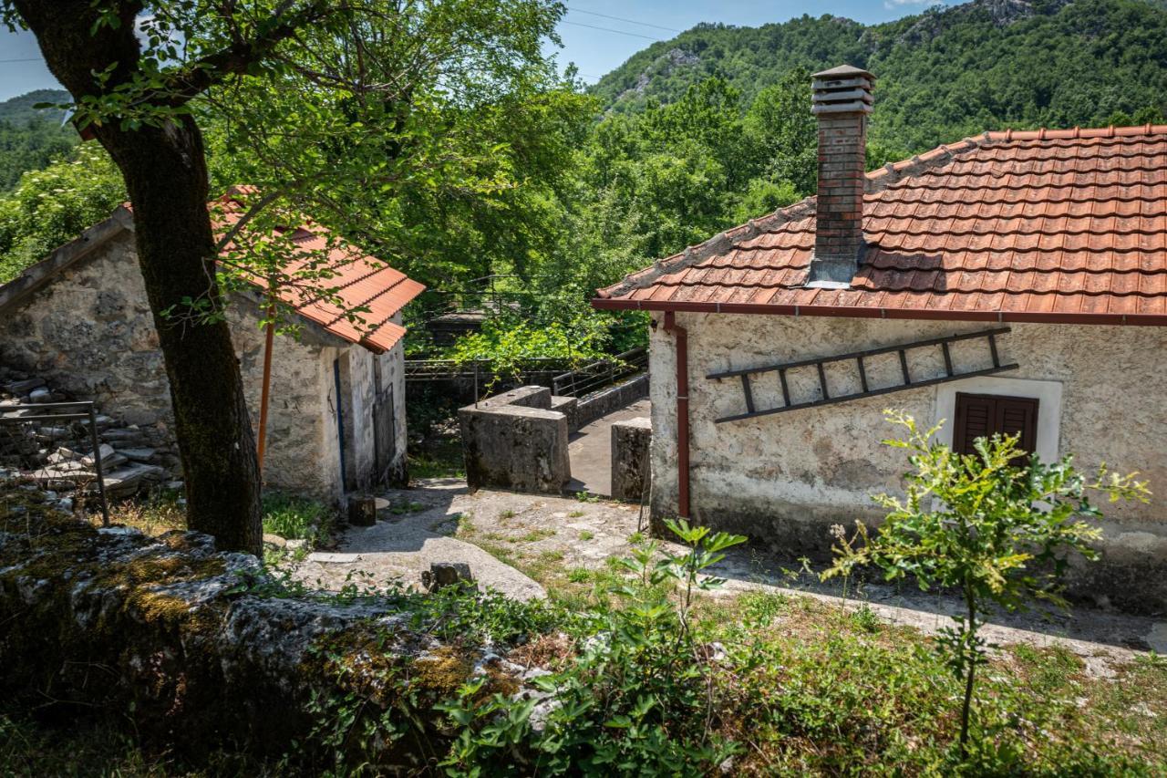 Guest House Gornji Ceklin Cetinje Ngoại thất bức ảnh