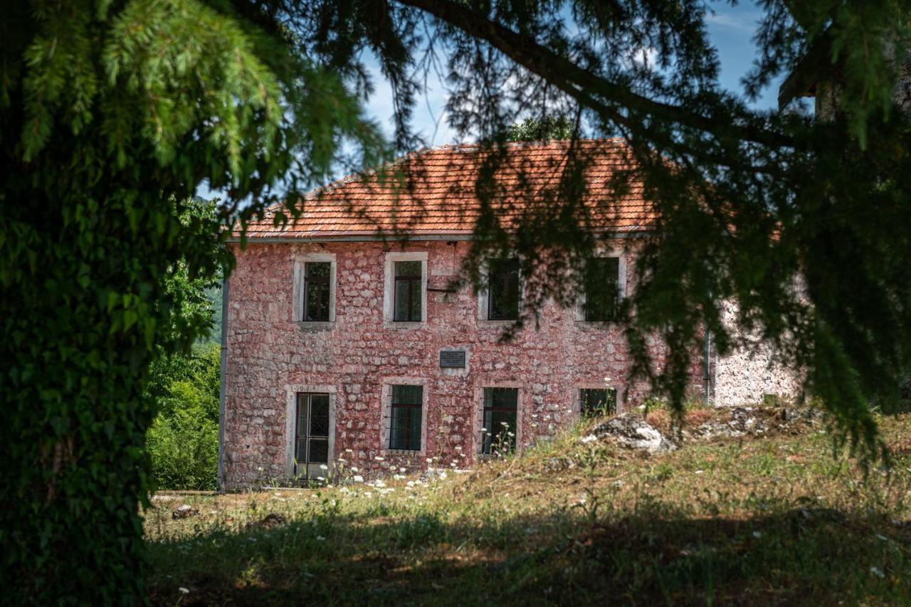 Guest House Gornji Ceklin Cetinje Ngoại thất bức ảnh